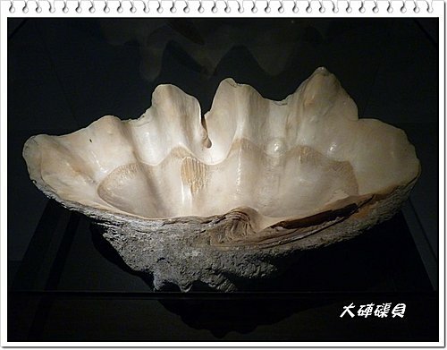 吹冷氣~看展趣(二)17.jpg