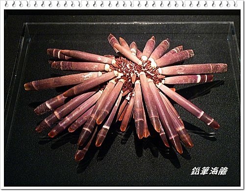 吹冷氣~看展趣(二)18.jpg