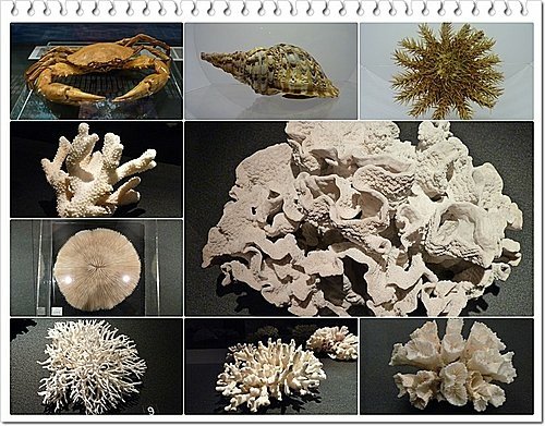 吹冷氣~看展趣(二)20.jpg