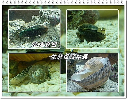 吹冷氣~看展趣(二)21.jpg
