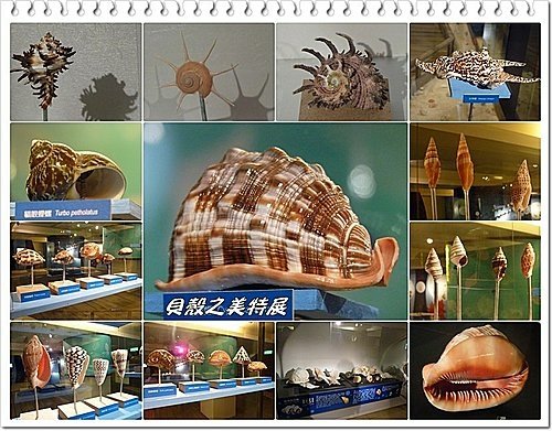 吹冷氣~看展趣(二)29.jpg