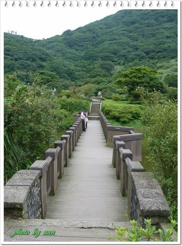 大屯自然公園生態之旅17.jpg