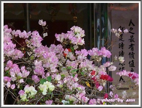 暖暖小館聚餐%26;基隆廟口閒逛22.jpg