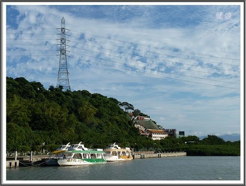 關渡賞芒隨拍11.jpg
