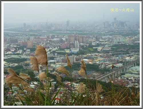 秋芒~大同山、小油坑、大屯山02.jpg