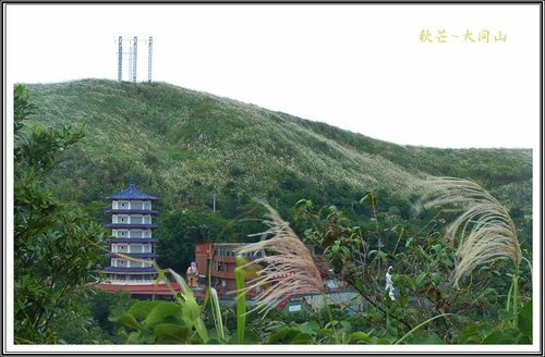 秋芒~大同山、小油坑、大屯山04.jpg