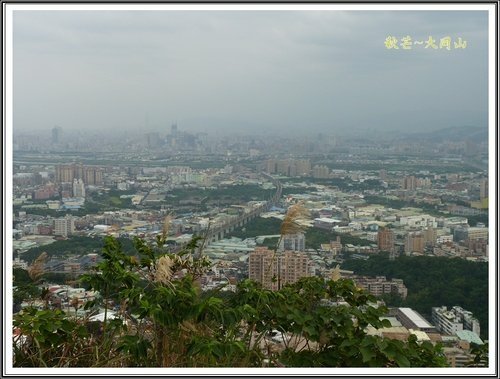 秋芒~大同山、小油坑、大屯山08.jpg