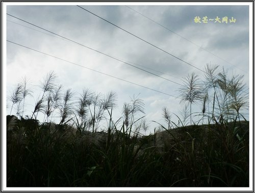 秋芒~大同山、小油坑、大屯山15.jpg