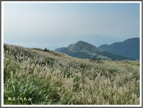 秋芒~大同山、小油坑、大屯山23.jpg