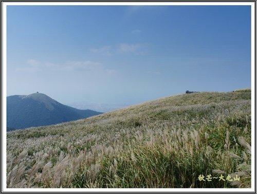 秋芒~大同山、小油坑、大屯山24.jpg