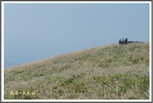 秋芒~大同山、小油坑、大屯山25.jpg