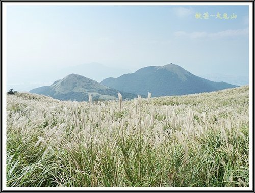 秋芒~大同山、小油坑、大屯山27.jpg