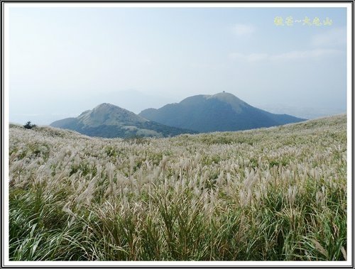 秋芒~大同山、小油坑、大屯山28.jpg