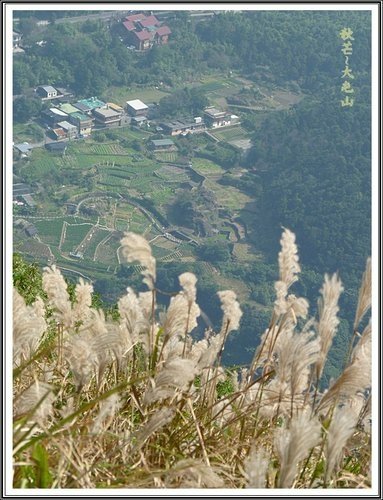 秋芒~大同山、小油坑、大屯山31.jpg