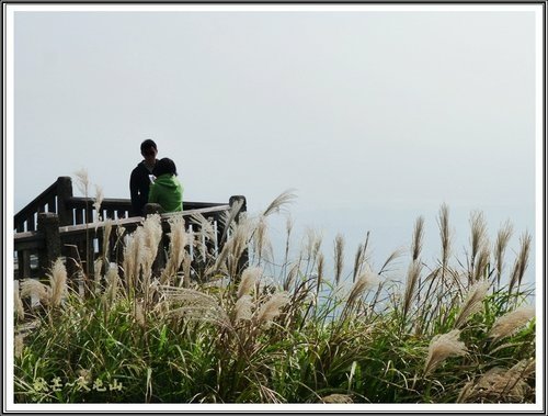 秋芒~大同山、小油坑、大屯山32.jpg