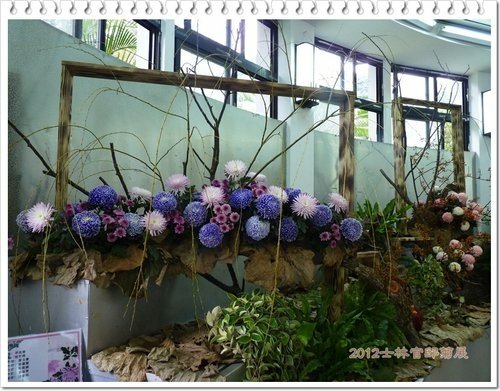 2012士林官邸菊展(五)18.jpg
