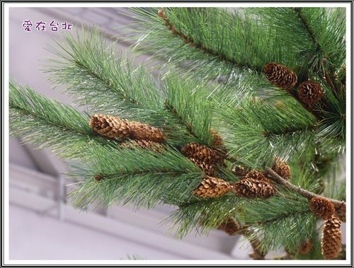2012爭艷館花卉展~愛在台北(三)40.jpg