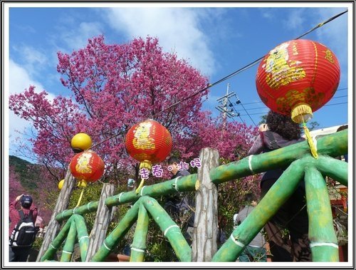 走春~北投27.jpg
