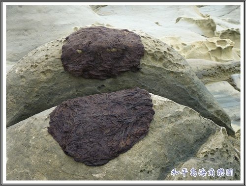 和平島海角樂園%26;基隆巷弄小吃10.jpg