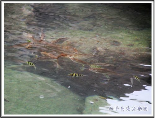 和平島海角樂園%26;基隆巷弄小吃12.jpg