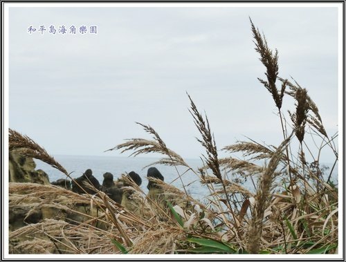 和平島海角樂園%26;基隆巷弄小吃22.jpg