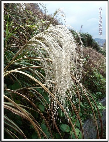 和平島海角樂園%26;基隆巷弄小吃28.jpg
