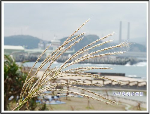 和平島海角樂園%26;基隆巷弄小吃30.jpg