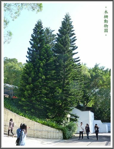 木柵動物園~植物篇36.jpg