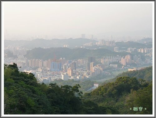 貓空。賞夜景31.jpg