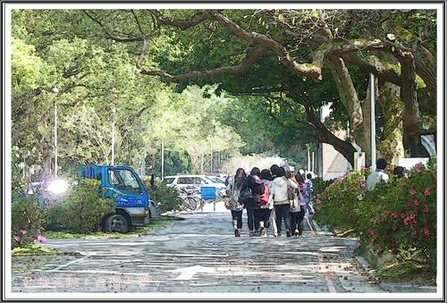 台灣大學杜鵑花節(一)10.jpg