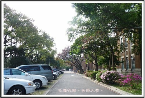 台灣大學杜鵑花節(一)18.jpg