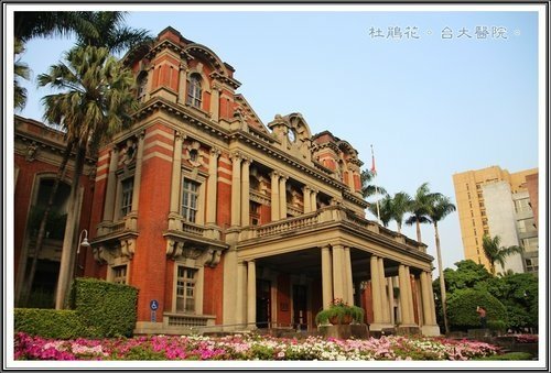 台灣大學杜鵑花節(一)31.jpg