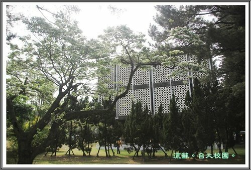 2013流蘇03.jpg