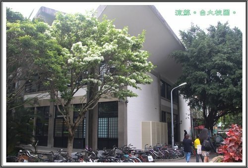 2013流蘇19.jpg