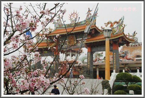 天元宮賞花(一)04.jpg