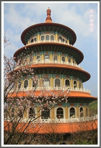 天元宮賞花(二)11.jpg