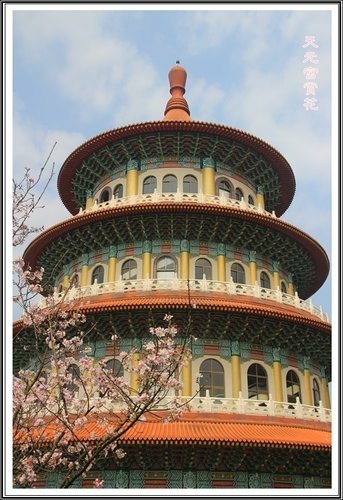 天元宮賞花(二)12.jpg