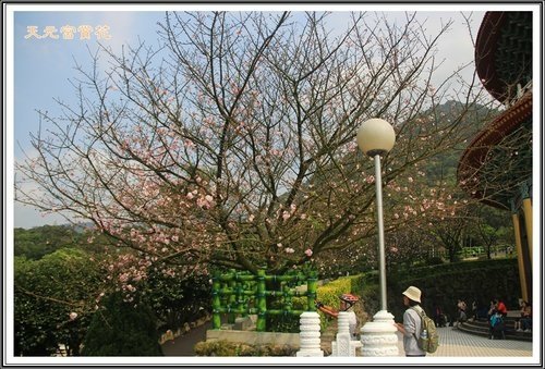 天元宮賞花(二)35.jpg