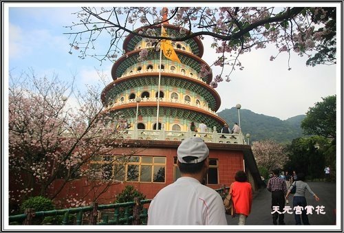 天元宮賞花(三)05.jpg