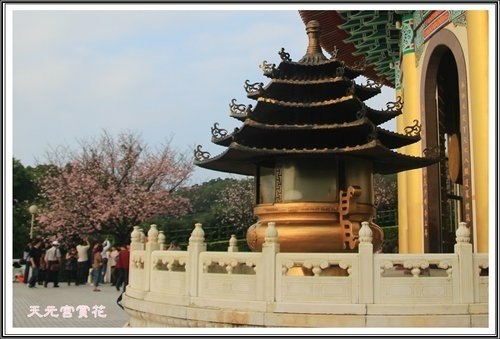 天元宮賞花(三)07.jpg