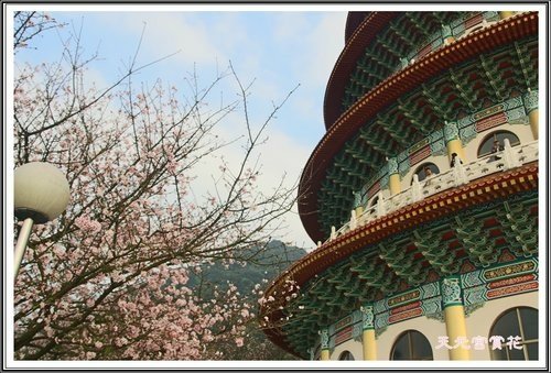 天元宮賞花(三)10.jpg