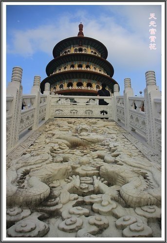 天元宮賞花(三)25.jpg