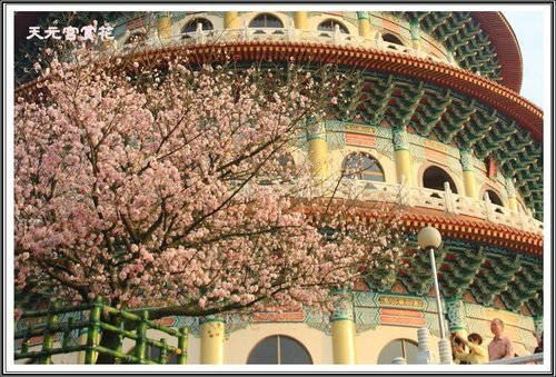 天元宮賞花(三)42.jpg