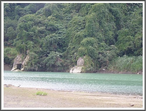 走走碧潭吊橋%26;和美山步道。花鳥昆蟲篇36.jpg