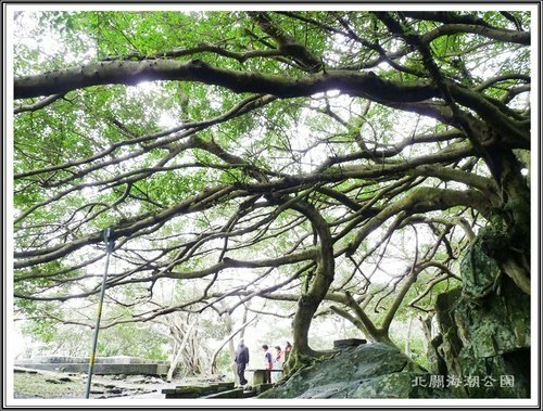 北關海潮公園10.jpg