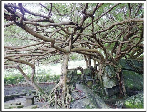 北關海潮公園11.jpg