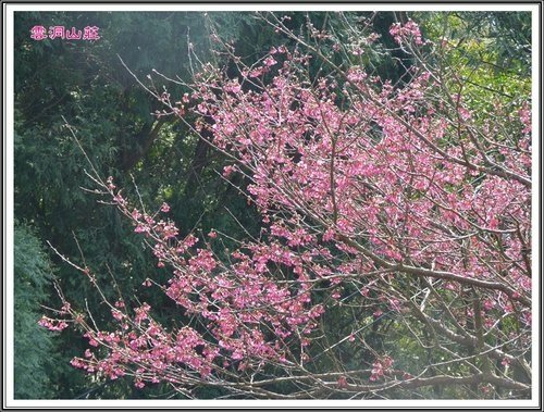 雲洞山莊25.jpg