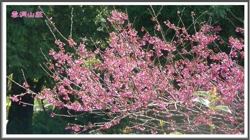 雲洞山莊24.jpg