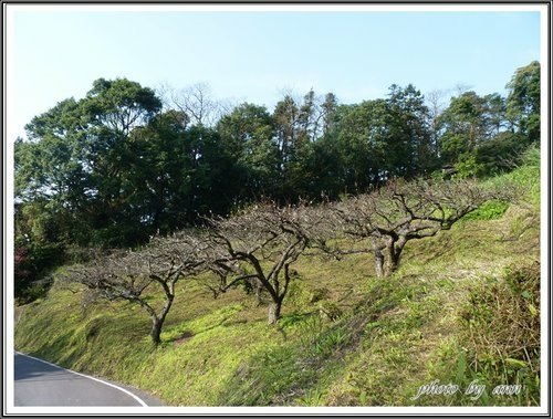 雲洞山莊34.jpg