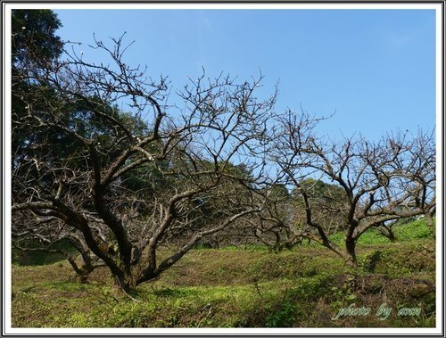 雲洞山莊38.jpg